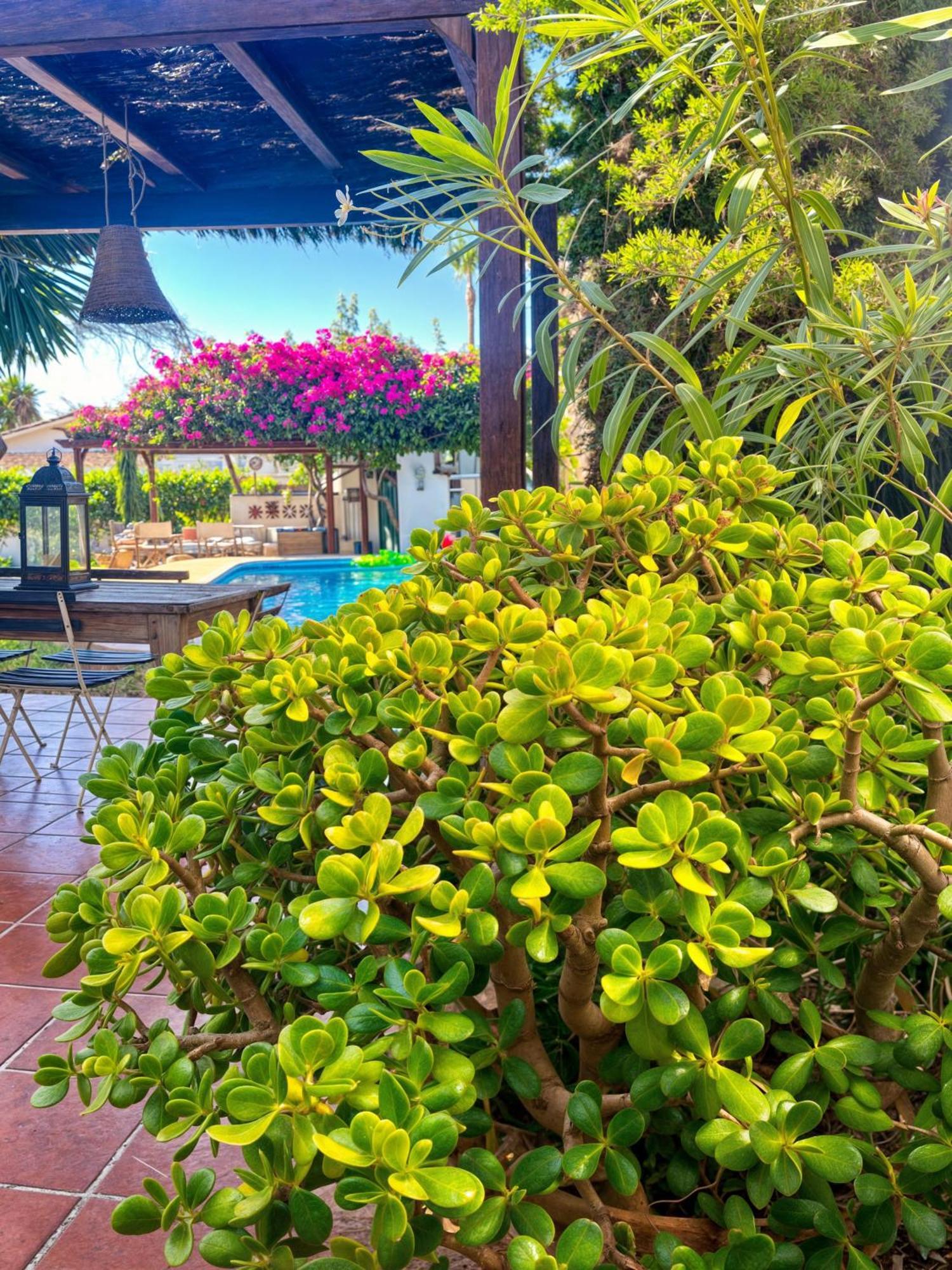 Villa Alfredo - Private Pool Next To The Beach Estepona Exterior foto